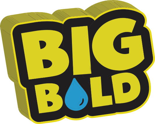 Big Bold 100ml E-Liquid Shortfill E-liquids
