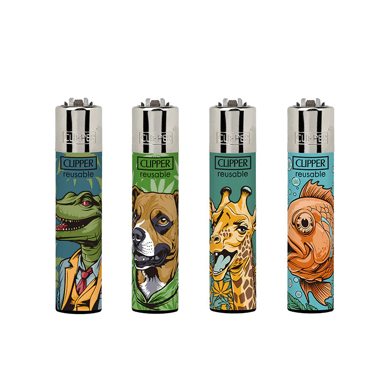 Clipper Lighters 48PK - Weedy World