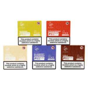 ELF BAR P1 PODS | 2 Pods/Pack - Image 2