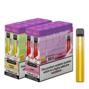 Elf Bar V2 Disposable Kit | 600 Puff | 20mg Clearance (10-Pack)